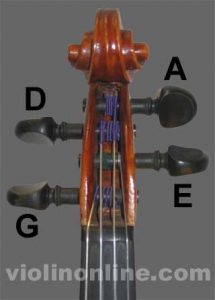 Violin Parts: Complete Piece by Piece Guide (and Bow)