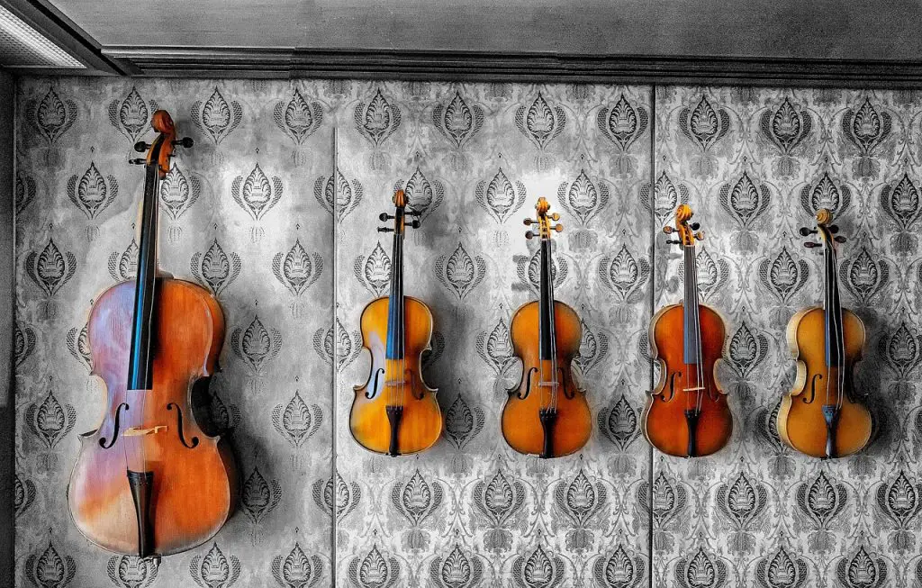 Viola vs Violin: 5 Key Between Two Instruments